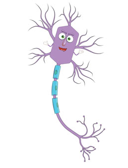 Nori the Neuron